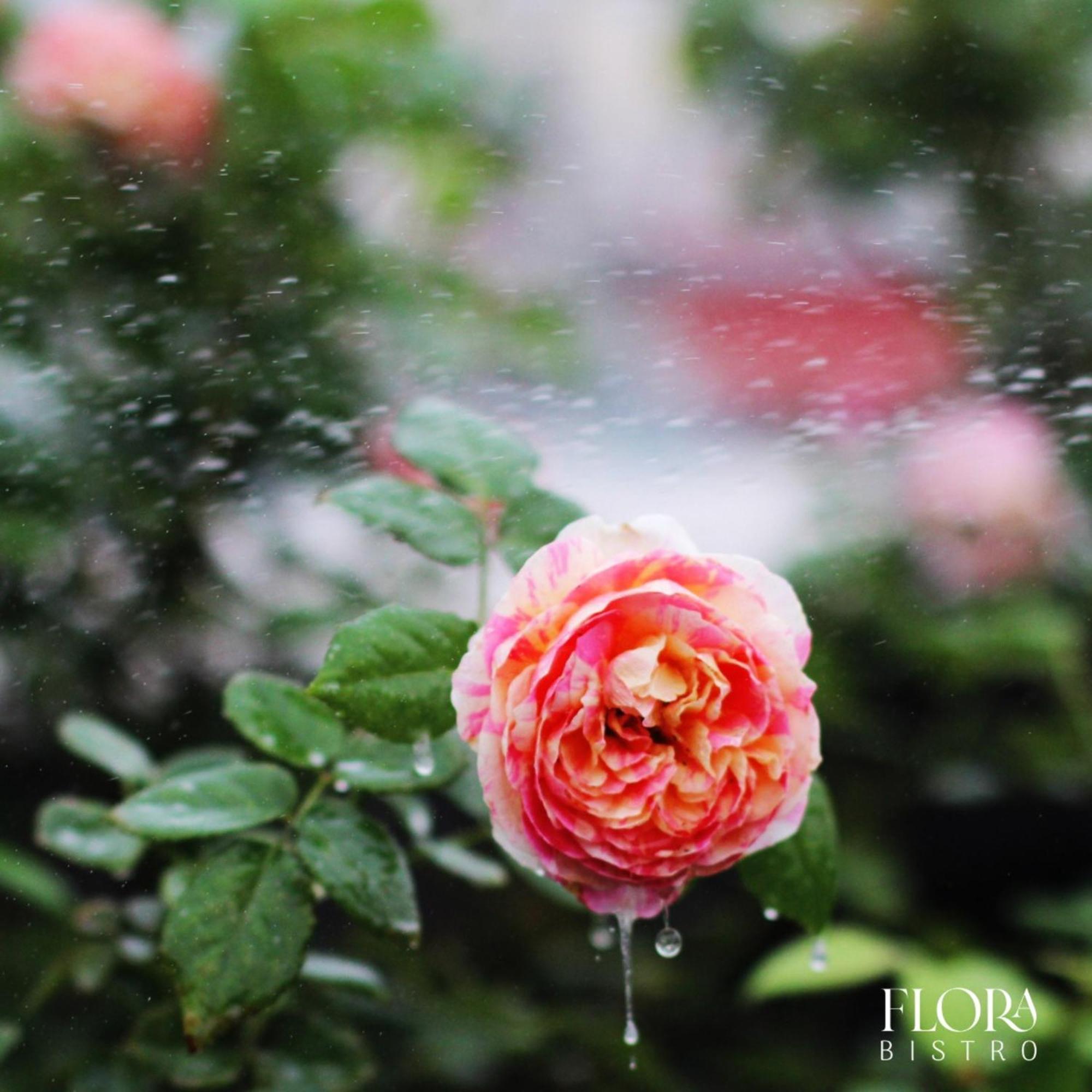 The Bloom Pham Viet Chanh - Modern Living Space In Saigon Ho Chi Minh Zewnętrze zdjęcie